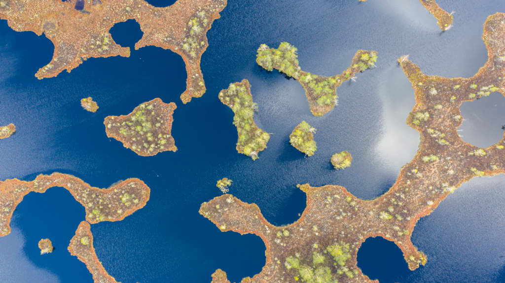 Aerial image of surface of a lake covered in trees and islands