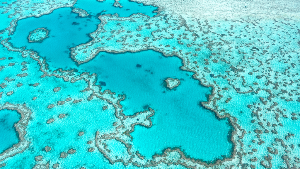 Aerial view of the Great Barrier Reef in Australia, showcasing vibrant coral reefs and crystal-clear blue waters.